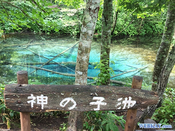 神の子池（かみのこいけ） 北海道 神秘的な池 パワースポット