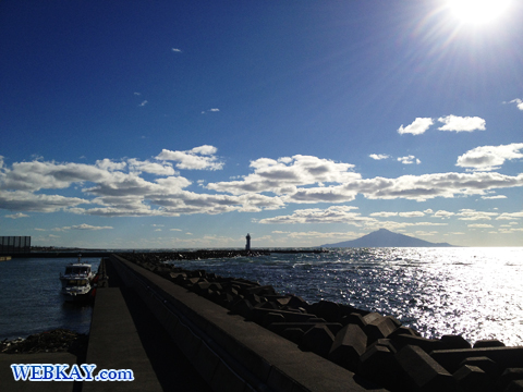 ノシャップ岬 野寒布岬 利尻富士 イルカ像 ドライブ 観光スポット ぶらり旅