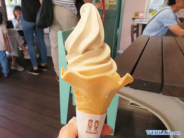 ピーナッツソフトクリーム 木村ピーナッツ Peanut Soft Cream 千葉県 Chiba Japan アイスクリーム
