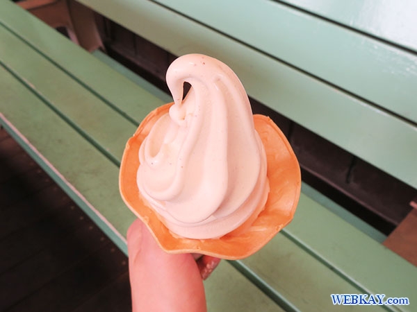 ピーナッツソフトクリーム 木村ピーナッツ Peanut Soft Cream 千葉県 Chiba Japan アイスクリーム