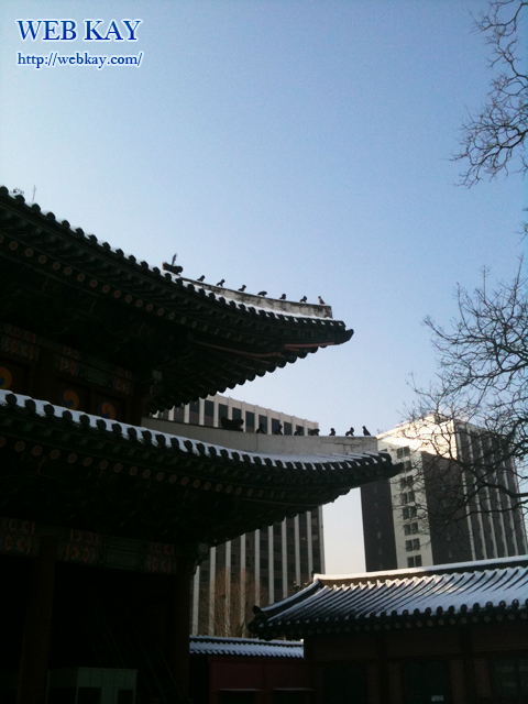 昌徳宮 しょうとくきゅう 世界文化遺産 チャンドックン 창덕궁 Changdeokgung