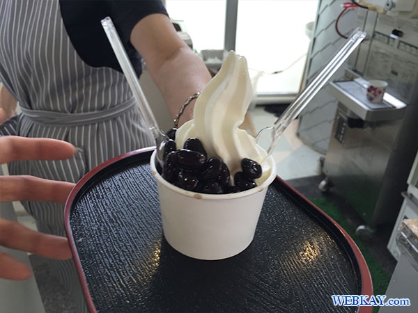 黒豆アイスクリーム 食べログ 道の駅 音更（おとふけ） 北海道 車旅 hokkaido otofuke icecream