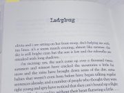 洋書「Wonder（ワンダー）」を読む。Part 5. Justin - Ladybug★単語と表現勉強メモ