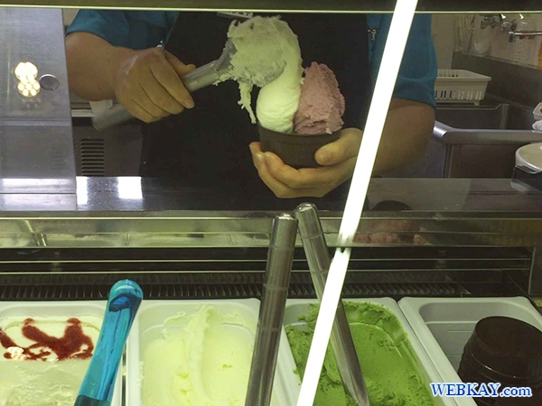 道の駅 摩周温泉 ジェラート アイスクリーム ミルク＆はすかっぷ 食べログ