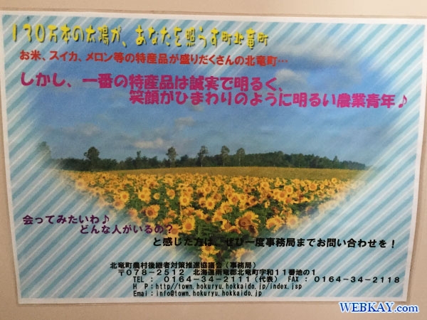 道の駅 サンフラワー北竜 車中泊 北海道 roadtrip sunflower hokuryu hokkaido