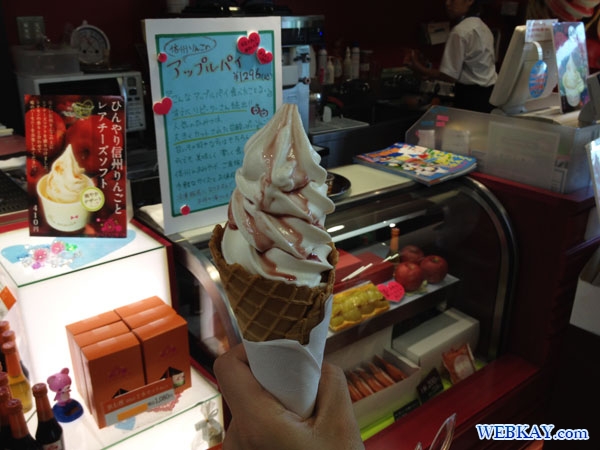 アイスクリーム レアチーズソフト ice cream 諏訪湖SA 上り suwako Service Area Highway 食べログ