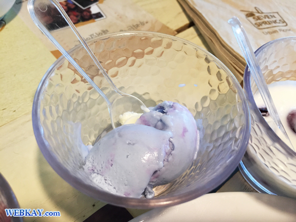 ブルーベリーアイスクリーム Seven Springs セブンスプリングス  ビュッフェ デザート 韓国 食べログ