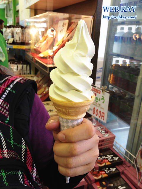 鳥取砂丘 天然記念物 梨 ソフトアイスクリーム