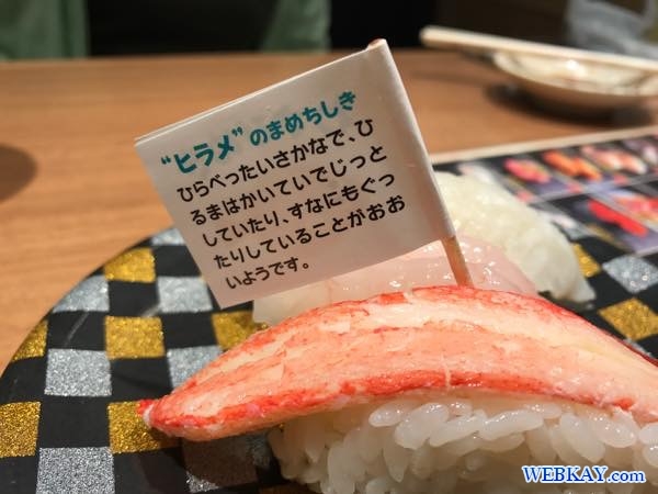 小樽 回転寿司 函太郎(かんたろう) otaru sushi kantaro hokkaido 食べログ はこたろう