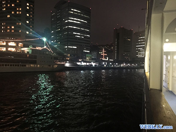 東海汽船 さるびあ丸 東京 夜景 船 night view tokyo tokaikisen sarubiamaru ship