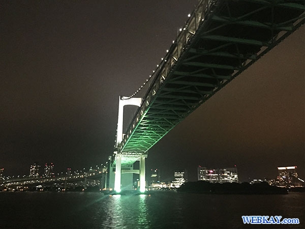 レインボーブリッジ rainbow bridge 東海汽船 さるびあ丸 東京 夜景 船 night view tokyo tokaikisen sarubiamaru ship