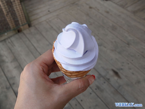 ラベンダーソフトクリーム ファーム富田 ポプリの舎 とみた farm tomita lavender ice cream