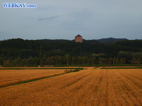 富良野 北海道 ドライブ 景色 風景