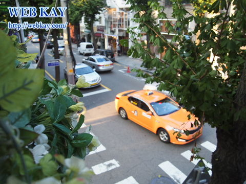 新沙洞 街路樹通り カロスキル 韓国 ソウル